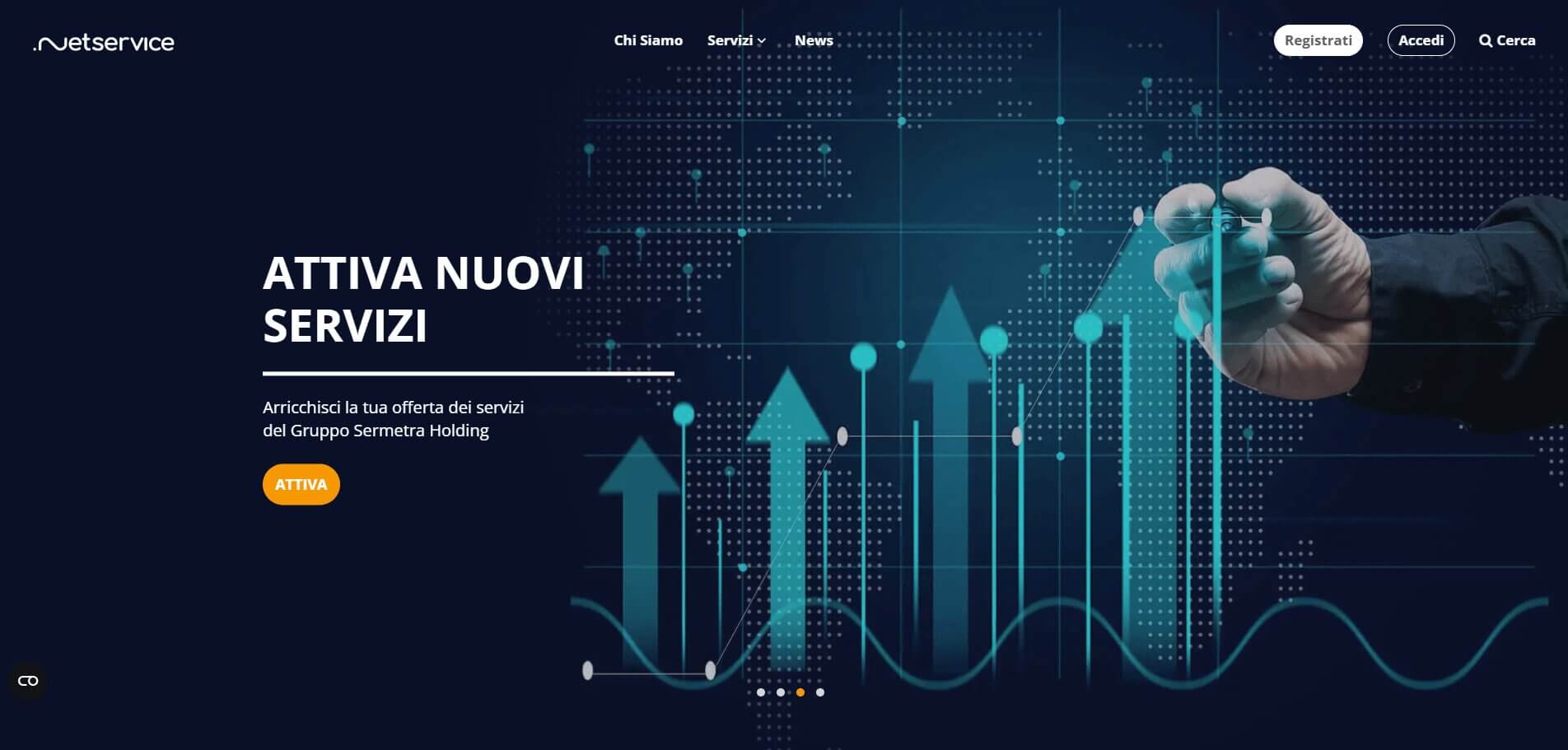 NetService: schermata 3 del sito